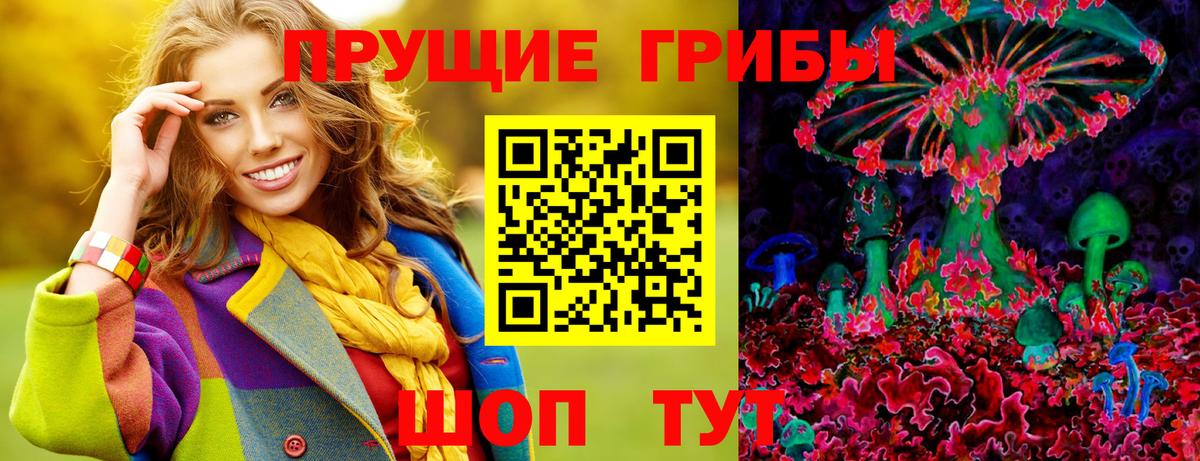 Прохладный  купить наркотики цена  Галлюциногенные грибы MAGIC MUSHROOMS  Вход с VPN  Псилоцибиновые грибы ЛСД 